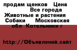 продам щенков › Цена ­ 15 000 - Все города Животные и растения » Собаки   . Московская обл.,Котельники г.